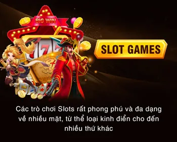 Chương trình VIP độc quyền với các lợi ích và đặc quyền cao cấp