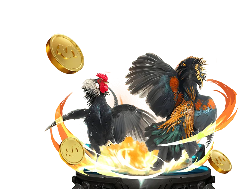 Giải thích về RNG và RTP trong các trò chơi casino của dwin game